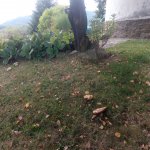 phoca_thumb_m_u mlnku 15 Fotogalerie